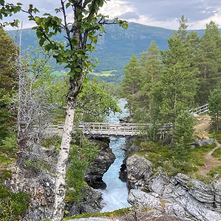 Σπίτι διακοπών Stunning In With Wifi Bjorli